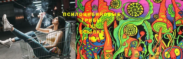 амфетамин Заводоуковск