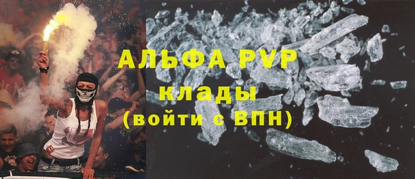твердый Ельня