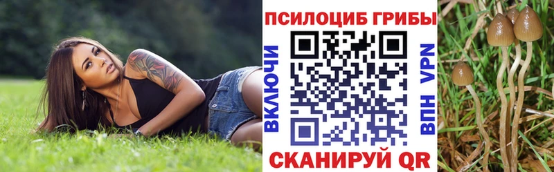 Купить  Калачинск  Галлюциногенные грибы Psilocybine cubensis 