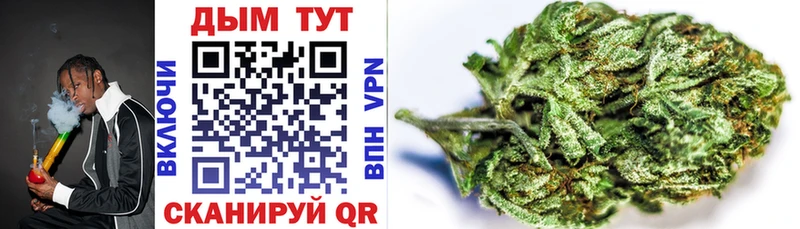 Шишки марихуана THC 21%  Купить закладки  Калачинск 